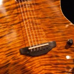 526346_10151337872165712_1493576820_n